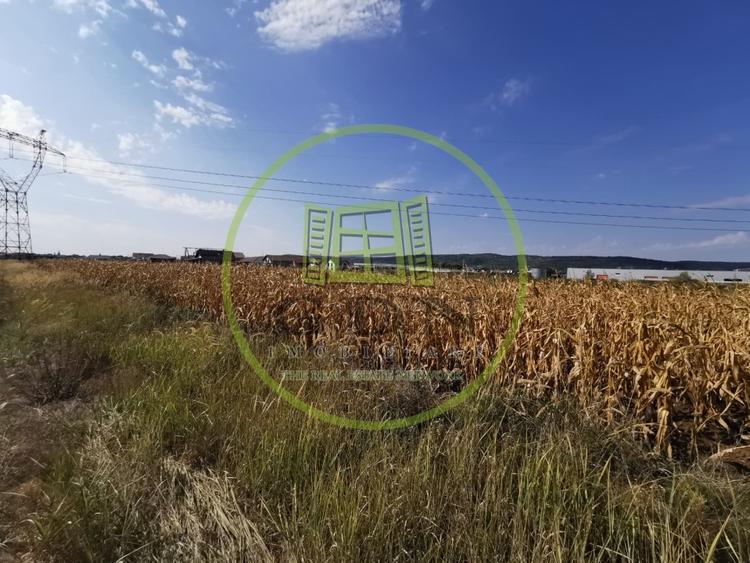 Teren intravilan de vanzare in Osorhei, 5.840 mp, cu front 3 fronturi stradale. - 3