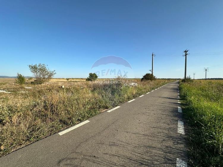 Teren extravilan de vanzare - 19.963 mp, E68 Mandruloc-Vladimirescu