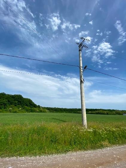 TereCiofliceni 5690 mp.Deschidere de 50m. - 3