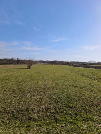Teren intravilan ,36 arii , Chechis ,la 12 km de Baia Mare - 2