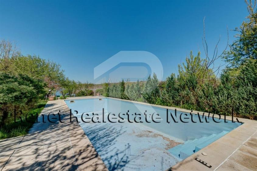 O Poveste de Vis pe Malul Lacului Snagov - 36