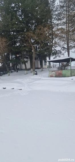 Imobil, cabana cu lac - 1