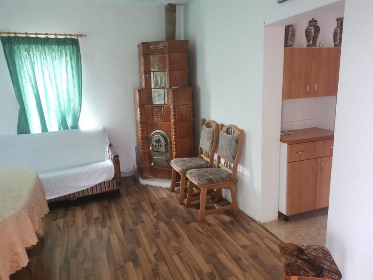 Casa batraneasca Aninoasa/ Arges, teren 1.200 mp - 12