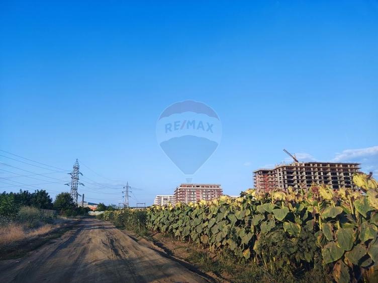 De Vanzare Teren cu Destinatie Rezidential | Berceni | Ocazie! - 5