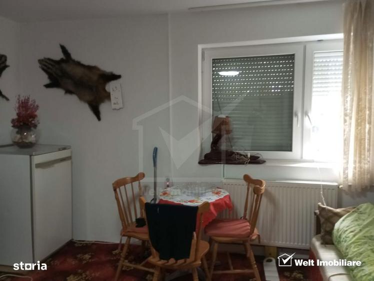 Casa cu teren 3320mp sat Dumbrava Capusu Mare - 6