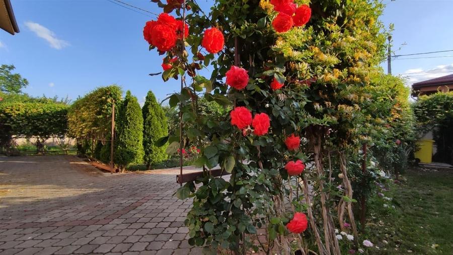 Vila individuala S+P+1+M - Matei Millo / 810mp teren - 3