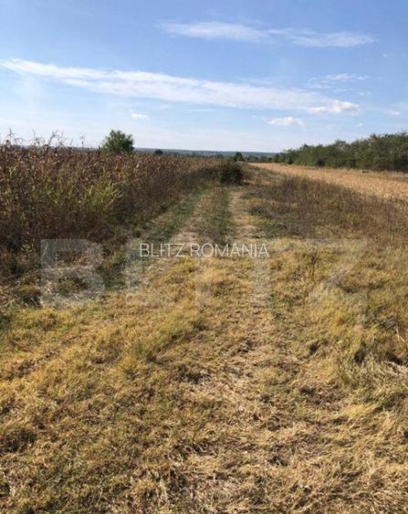 Teren 3222 mp, zona Dragomiresti