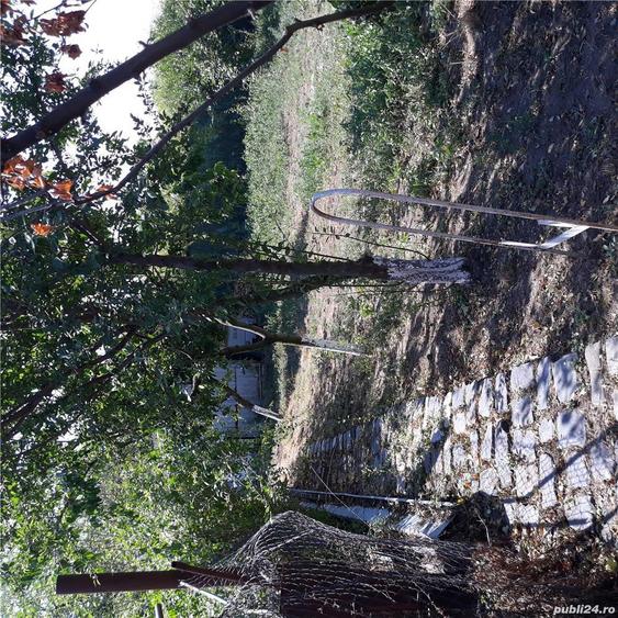 Casa de vanzare. Comuna Draganesti sat Baraitaru - 4