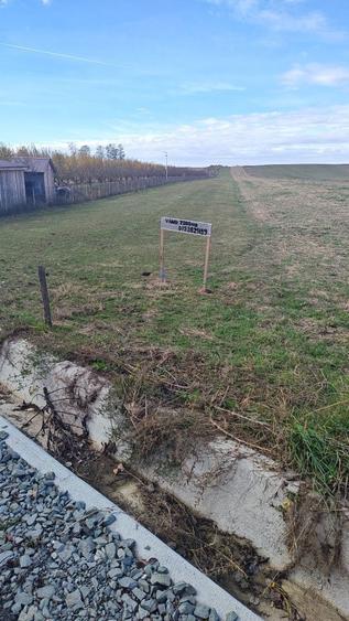 Vand parcela teren 7200 mp (2 euro/mp) in localitatea Arinis, jud Mar - 3