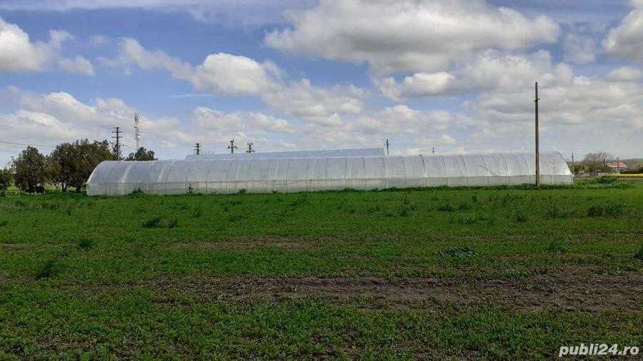 De vanzare Teren ?i Conac Brastava?u, Olt - 5