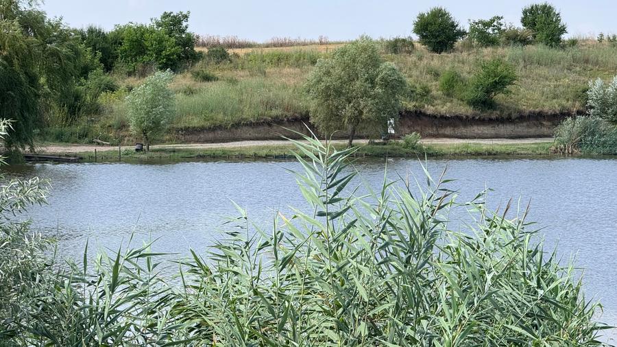 Casă parter + mansardă, 115 mp, teren 2000 mp – lângă Lacul Mostiștea - 11