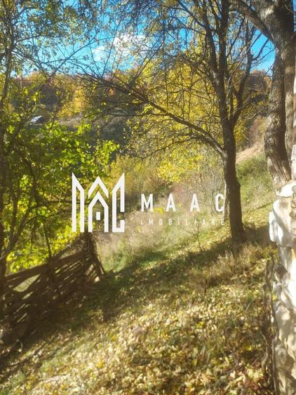 Super ofertă 35000 teren in Muntii Apuseni - 15