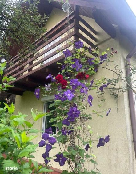 Teren intravilan, 4500 mp, casa de vacanta, in Baciu, zona Sun Garden - 4