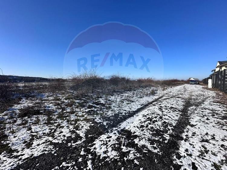 Teren intravilan 500mp, langa lac, acces drum principal - Corbeanca - 3