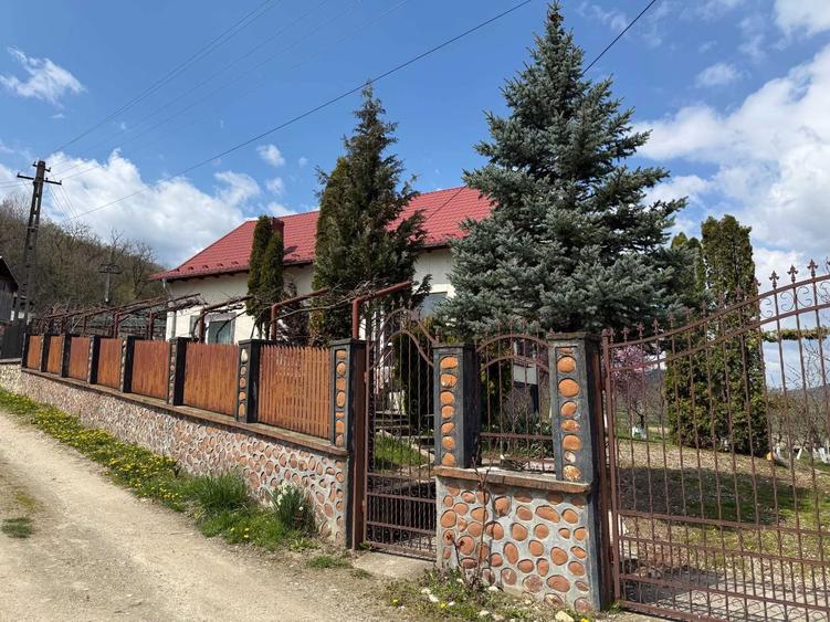 Casa de vanzare (4 camere, 2 terase, o anexa, suprafata construita 200mp) in Bohari, Comuna Malureni - Arges - 3