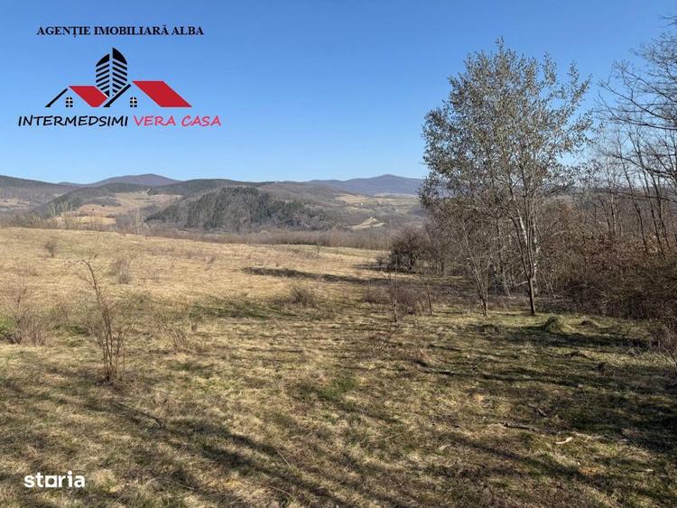 Teren extravilan 28900 mp de vanzare in Stauini Jud Alba - 1