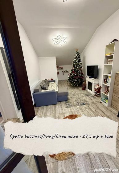 Direct proprietar, 5 camere, casa individuala mare unfamiliara + spatiu business, 10 km de Timisoara - 2