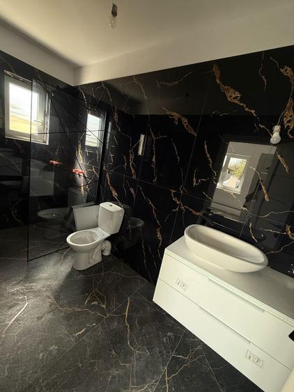 Vand Duplex , Comuna Sacalaz , Localitate Beregsau - 7