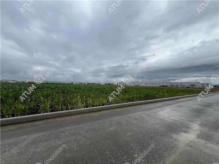 Teren intravilat de 9000 mp cu PUZ situat in zona Industriala Vest - 4