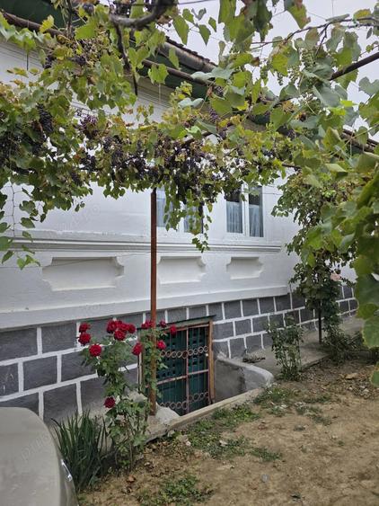 Casa deosebita renovata recent, teren 3698 mp - 5