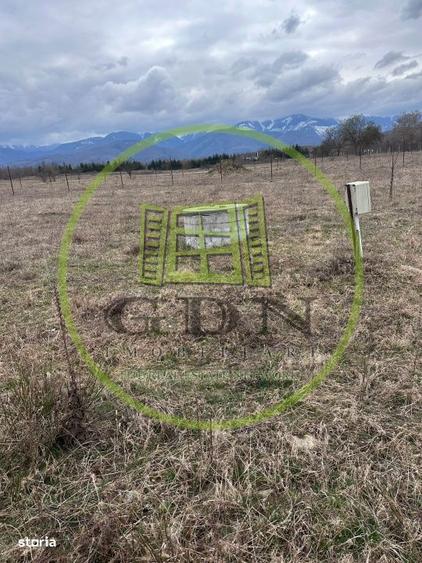 Exclusivitate! Teren intravilan, ttrifazic 44kw, urbanism, toate avize - 4