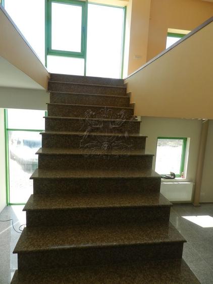 Hala | Soseaua Odai | Mogosoaia | (350 mp depozit / 236 mp birou) - 5