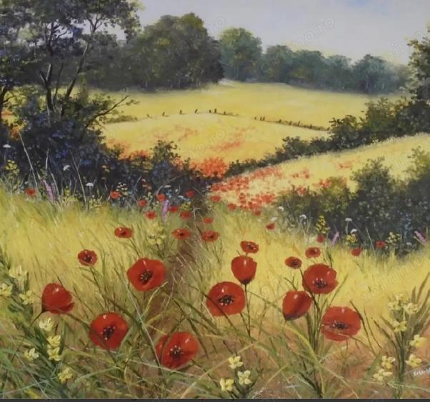 Arenda judetul Giurgiu - 1