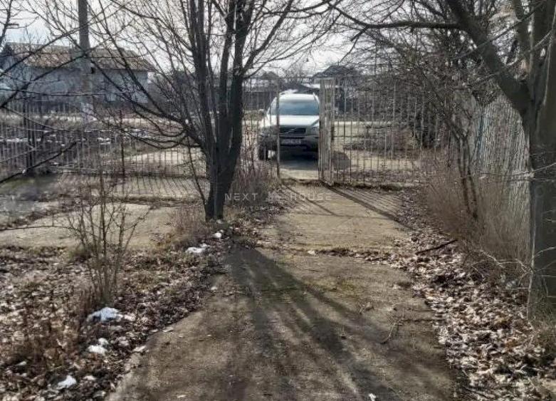 Teren la 35 km de Bucuresti - Izvorani - Ciolpani - 11