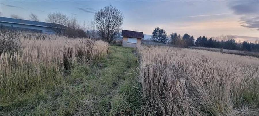 Teren pretabil constructie, zona apreciabila, Stupini, Brasov - 3