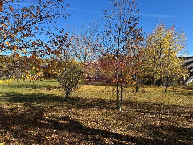 Teren intravilan de vanzare in Brebu (zona foarte linistita) - 7