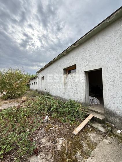 Hala de productie sau pentru depozitare Ortisoara - 2