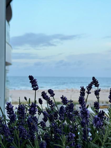 Apartament 1 camera, 41 mp, LOC PARCARE INCLUS, VEDERE LA MARE, cod 161368 - 20