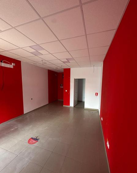 ? NEPTUN | SPA?IU COMERCIAL + GARSONIERA - 5