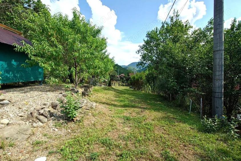 Cabana, anexe si 2000 mp teren intravilan in Taratel, Brad - 16