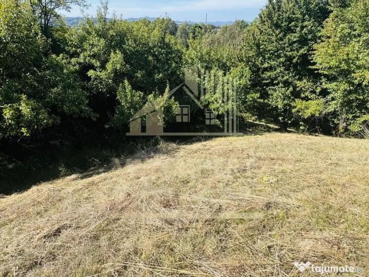 TEREN INTRAVILAN 3234 MP LERE?TI VOINE?TI ARGE? - 3