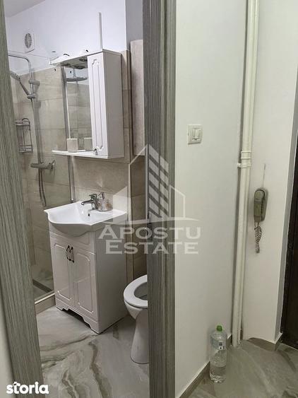 Apartament cu 1 camera , de inchiriat , Zona Take Ionescu - Timisoara - 5