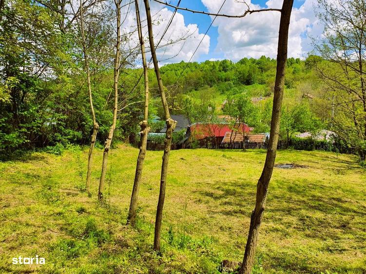 Teren intravilan 628 mp, Valenii de Munte - Teisani - 1