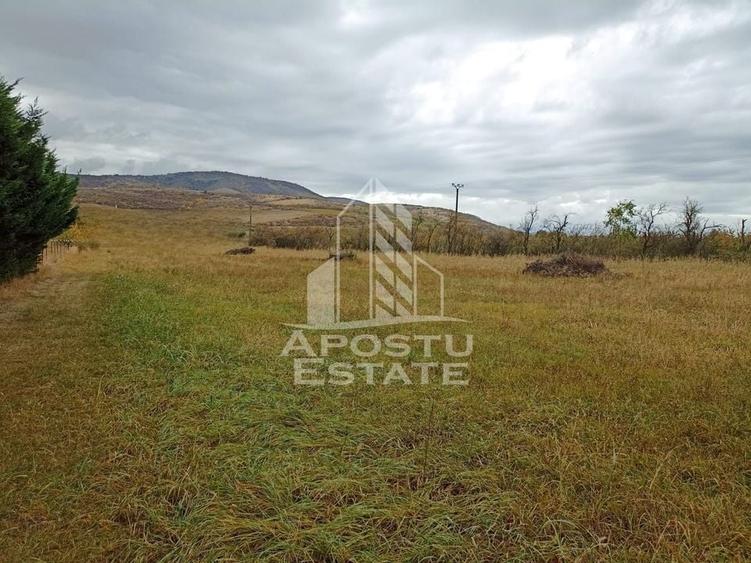 Teren 3800 Mp Ghioroc cu Utilitati - 3