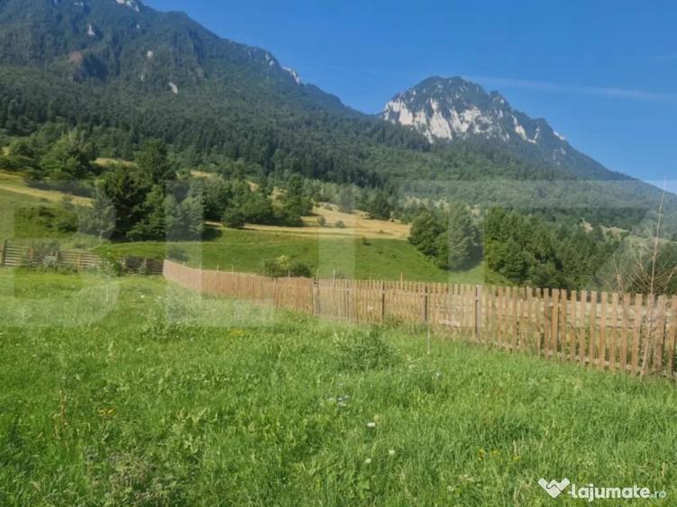 Teren Plaiul Foii, vedere spre muntii Bucegi si apa Barsa 10 - 4