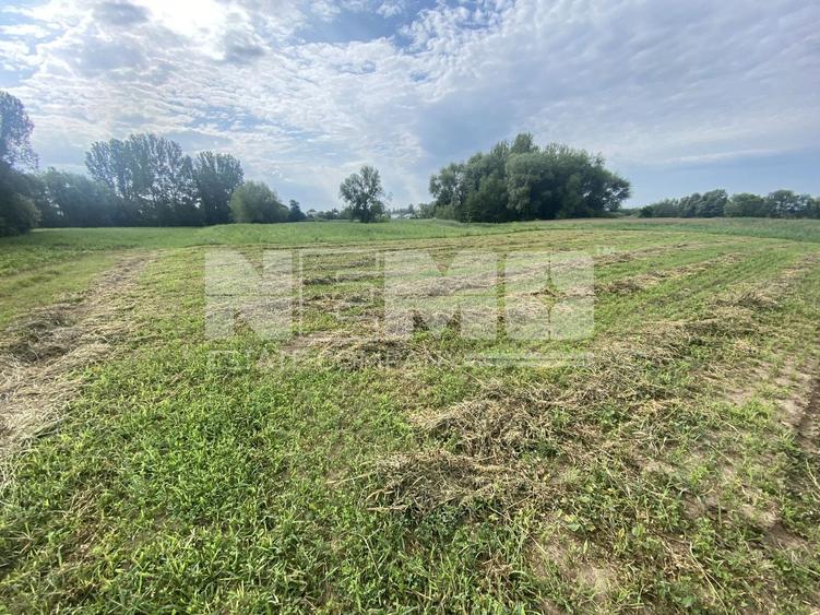 Teren agricol extravilan de 2300 mp, în Satu Mare