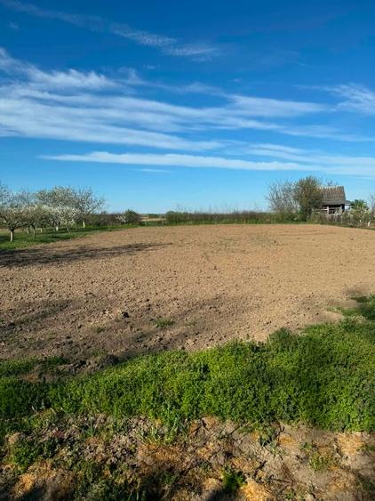 Casa de vanzare Tasnad  - 4