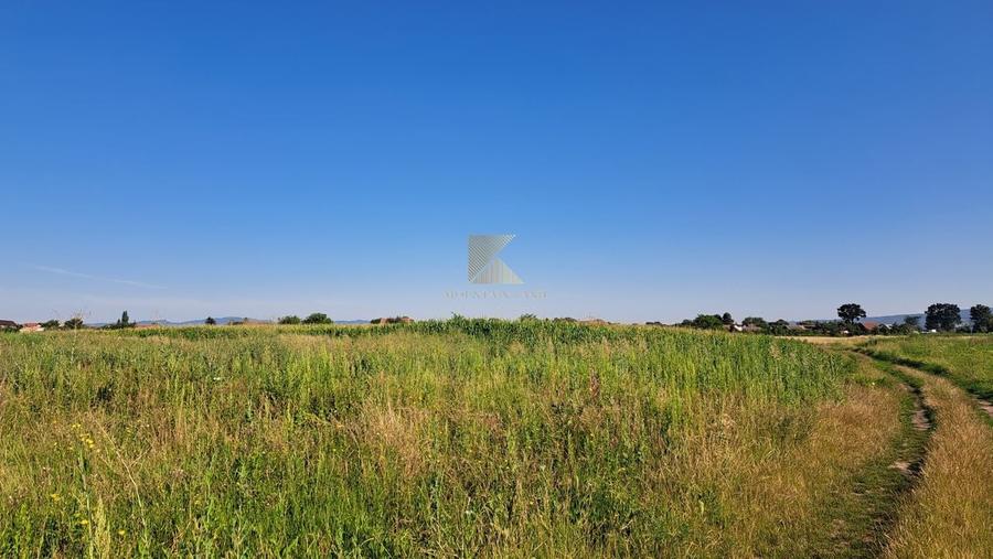 Posibilitate RATE | Teren Bod | curti constructii | utilitati | PUZ, - 16