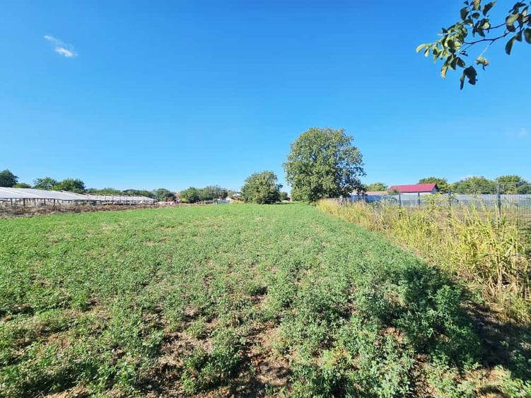 Teren intravilan 1.585 mp, cu utilități la hotar –Gherghița–Ungureni - 7