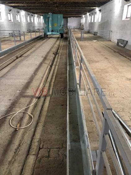 Ferma complet utilată – 30 ha teren comasat cu 11.500mp grajduri renovate Timiș - 1