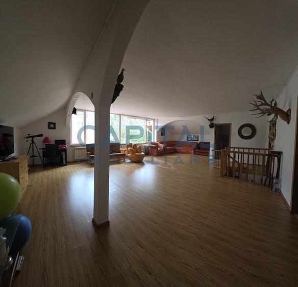 Cabana la munte Rucar / Satic - 18