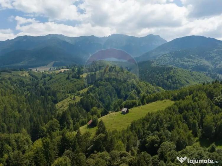 Teren Panoramic in Bran Vedere spre Bucegi & Piatra C... - 10