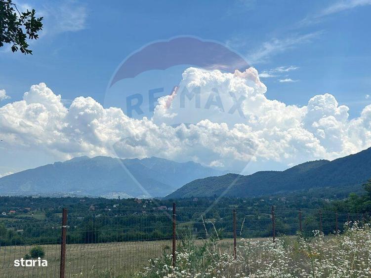Teren 857mp Zarnesti / Strada F.N - 3