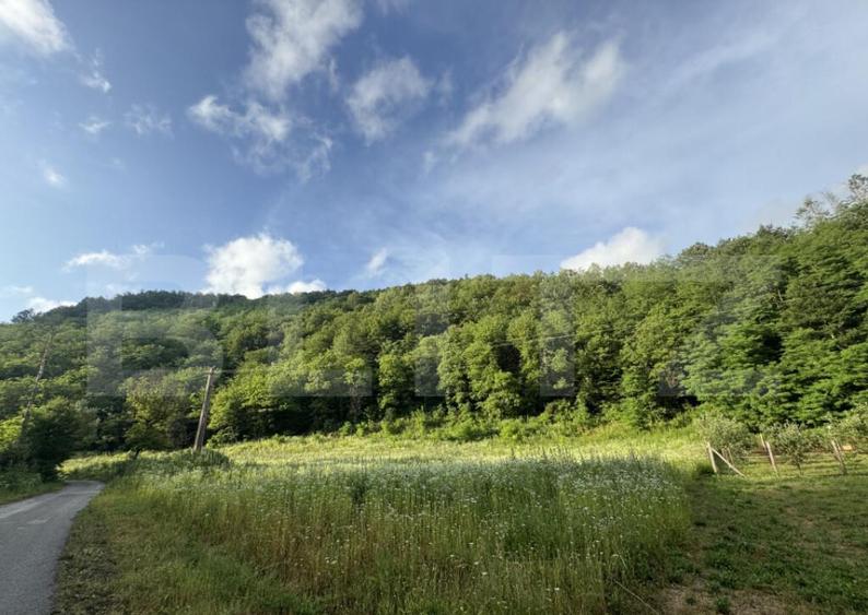 Teren intravilan de 4558 mp - 2