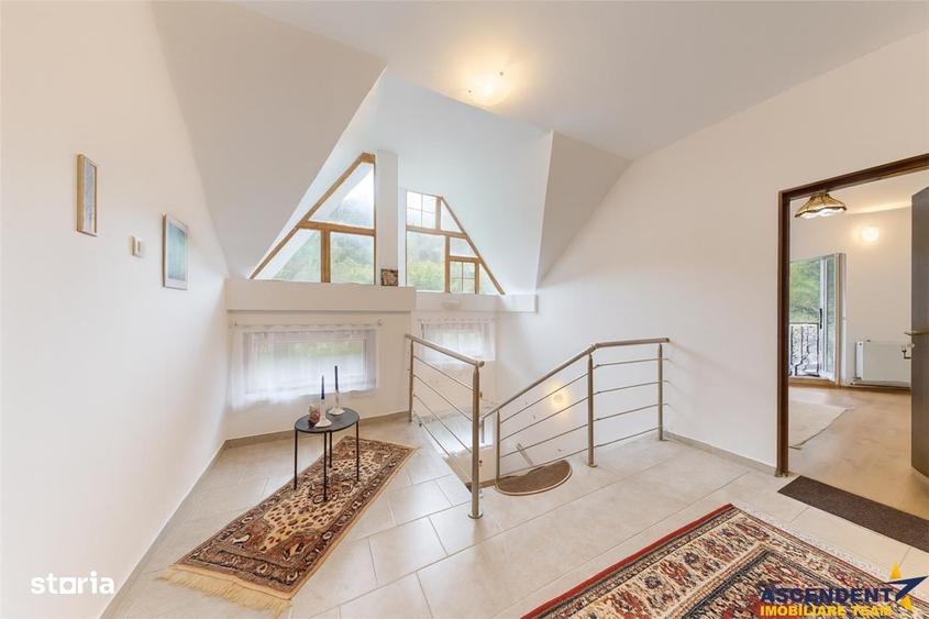 3D! Casa autentica,5.025 mp teren,in spectacolul montan al Cetatii Med - 20