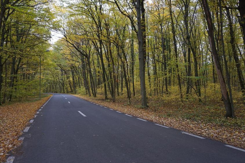 Teren intravilan | Snagov | Izvorani | 2800mp | Stradal - 5